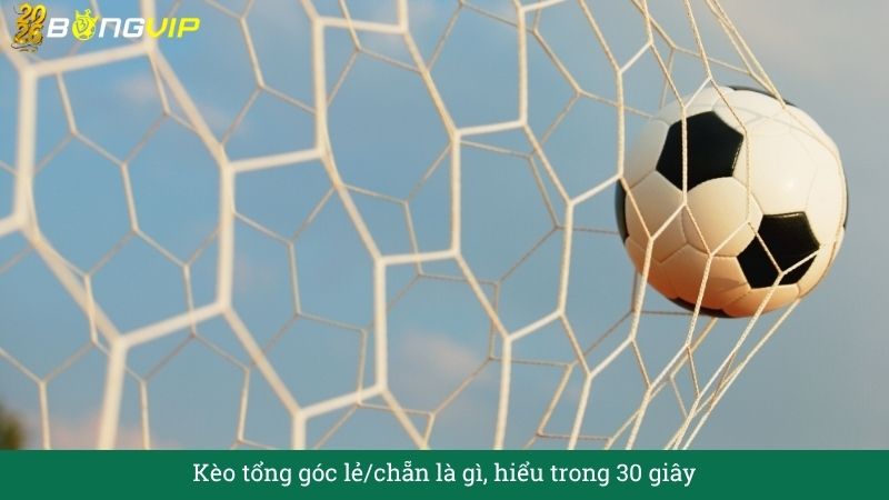 Giải mã Kèo tổng góc lẻ/chẵn – Hướng Dẫn Soi Kèo & Bí Quyết Thắng Đậm BONGVIP