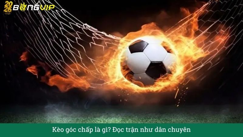 Kèo góc chấp là gì? Đọc trận như dân chuyên – Hướng Dẫn Soi Kèo & Bí Quyết Thắng Đậm BONGVIP
