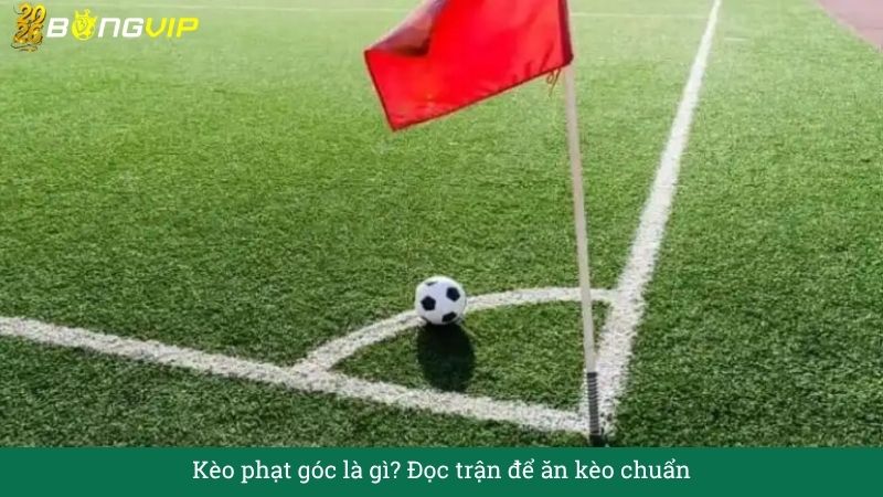 Kèo phạt góc là gì? Đọc trận để ăn kèo chuẩn – Hướng Dẫn Soi Kèo & Bí Quyết Thắng Đậm BONGVIP