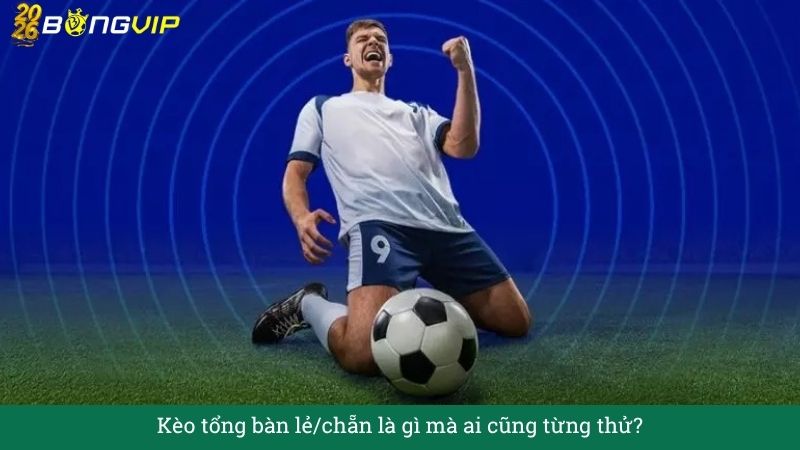 Kèo tổng bàn lẻ/chẵn – Hướng Dẫn Soi Kèo & Bí Quyết Thắng Đậm BONGVIP