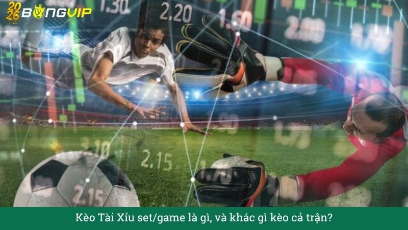 Giải mã Kèo Tài Xỉu set/game – Hướng Dẫn Soi Kèo & Bí Quyết Thắng Đậm BONGVIP
