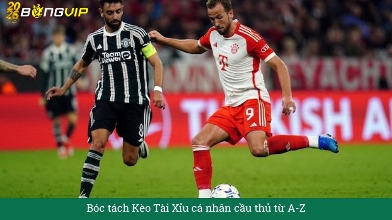 Bóc tách Kèo Tài Xỉu cá nhân cầu thủ từ A – Hướng Dẫn Soi Kèo & Bí Quyết Thắng Đậm BONGVIP