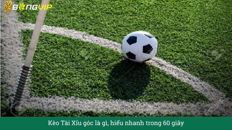 Kèo Tài Xỉu góc – Hướng Dẫn Soi Kèo & Bí Quyết Thắng Đậm BONGVIP