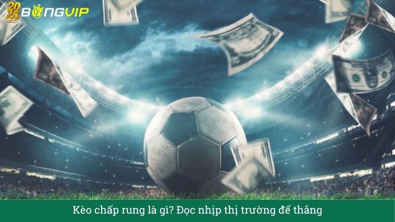 Kèo chấp rung là gì? Đọc nhịp thị trường để thắng – Hướng Dẫn Soi Kèo & Bí Quyết Thắng Đậm BONGVIP