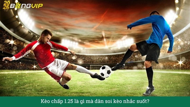 Giải mã Kèo chấp 1.25 – Hướng Dẫn Soi Kèo & Bí Quyết Thắng Đậm BONGVIP