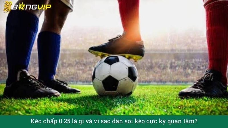 Kèo chấp 0.25 – Hướng Dẫn Soi Kèo & Bí Quyết Thắng Đậm BONGVIP