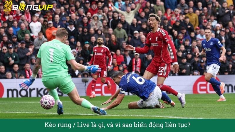Giải mã Kèo rung / Live – Hướng Dẫn Soi Kèo & Bí Quyết Thắng Đậm BONGVIP