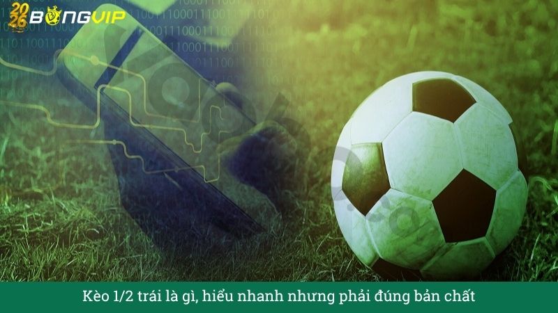 Kèo 1/2 trái – Hướng Dẫn Soi Kèo & Bí Quyết Thắng Đậm BONGVIP