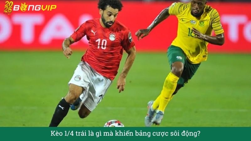 Kèo 1/4 trái – Hướng Dẫn Soi Kèo & Bí Quyết Thắng Đậm BONGVIP