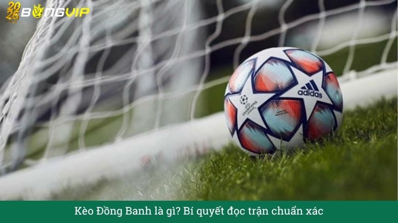 Kèo Đồng Banh là gì? Bí quyết đọc trận chuẩn xác – Hướng Dẫn Soi Kèo & Bí Quyết Thắng Đậm BONGVIP