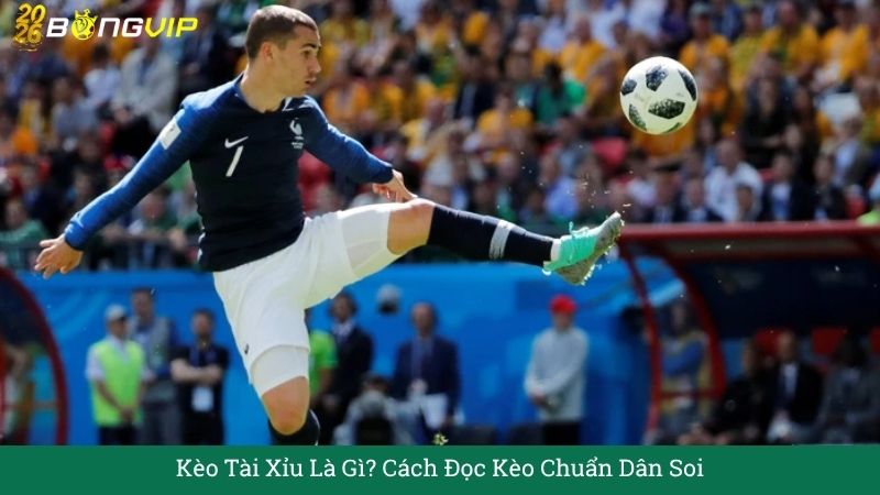 Kèo Tài Xỉu Là Gì? Cách Đọc Kèo Chuẩn Dân Soi – Hướng Dẫn Soi Kèo & Bí Quyết Thắng Đậm BONGVIP